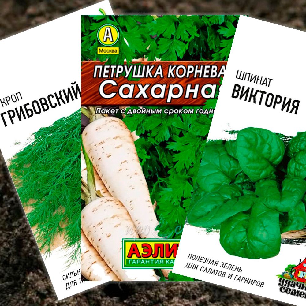 Подзимний посев зелени